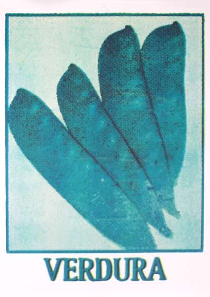 Cover Image for VERDURA print by Eugènia Font