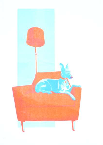 Cover Image for Whippet Print by Jamie Malcolm
