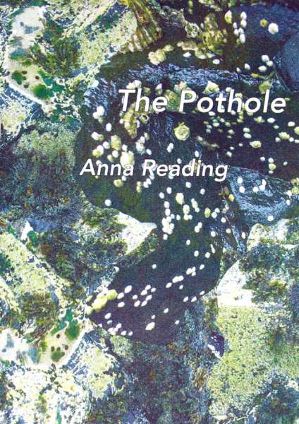 Cover Image for The Pothole by Anna Reading