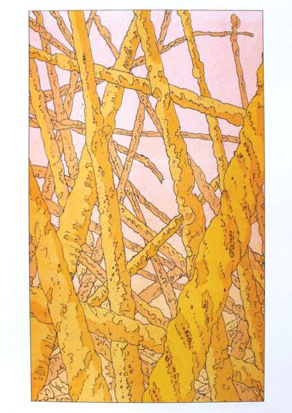 Cover Image for A3 Print Edition by Lando