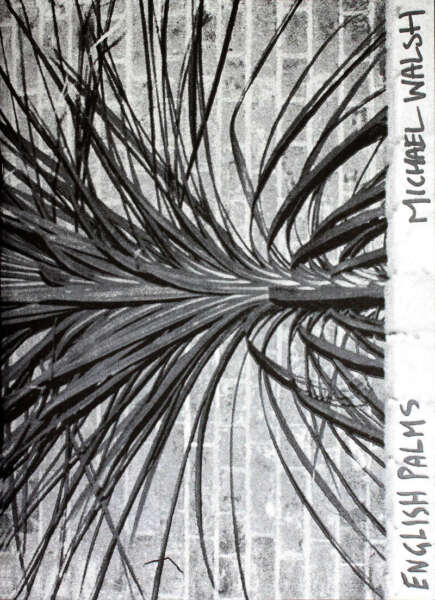 Cover Image for English Palms by Michael Walsh