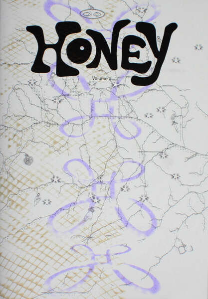 Cover Image for HONEY Volume 2