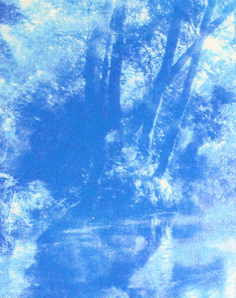 Cover Image for Idle Idyll by Izzy Leach