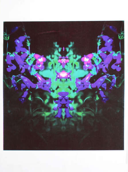 Cover Image for A3 Art Edition by Yalda Valizadeh