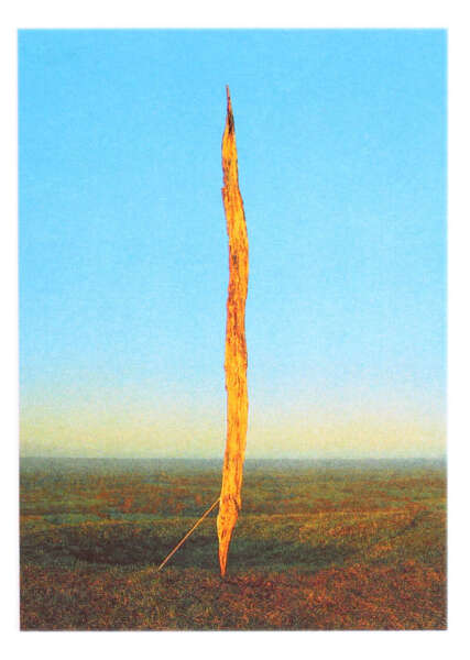 Cover Image for Reconstructed Nature edition by Luke & Nik